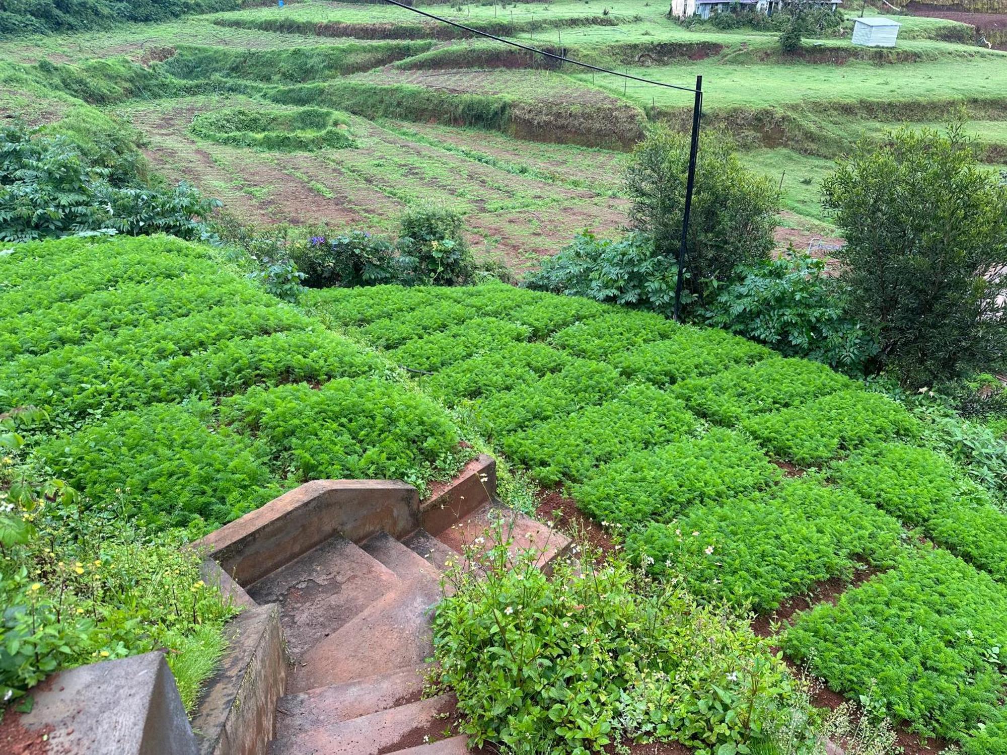 Kanjira House Udagamandalam Exterior photo